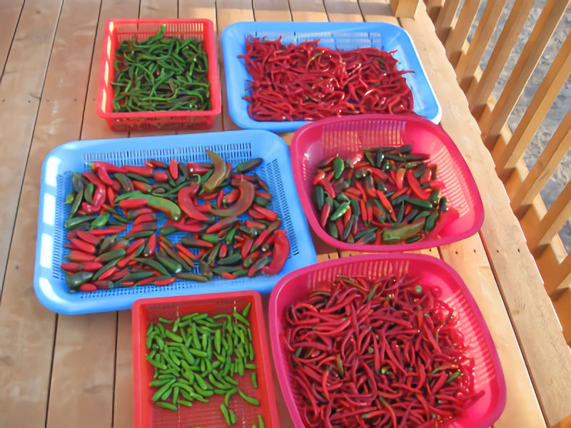 peppers
