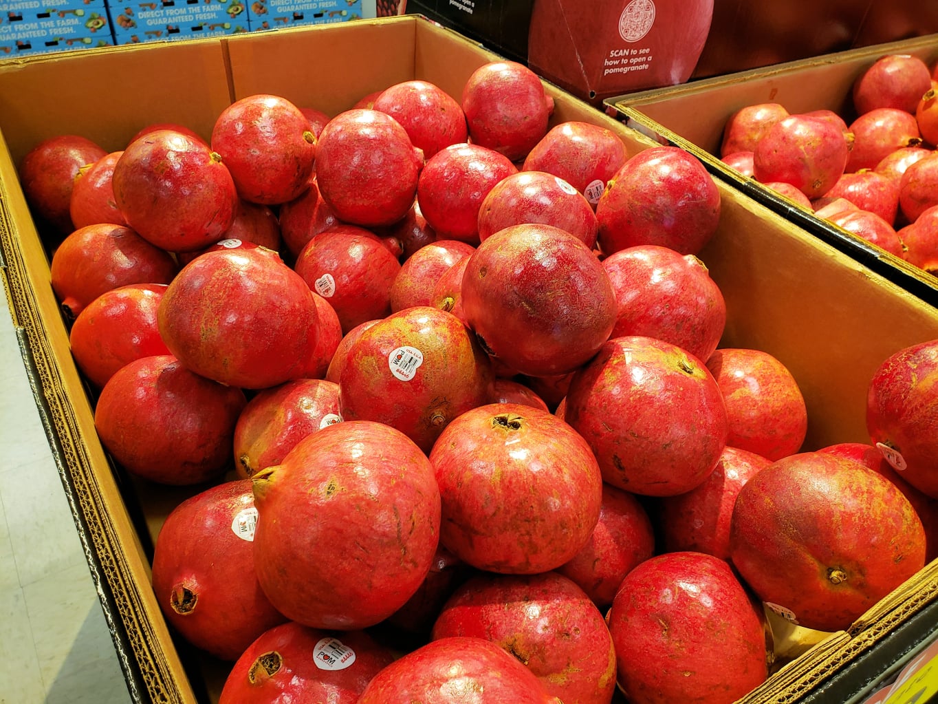 pomegranate